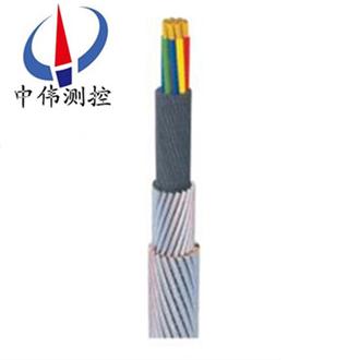 Bearing load detection cable