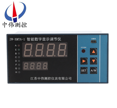 Intelligent digital display regulator