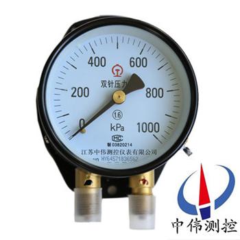 Double needle gauge