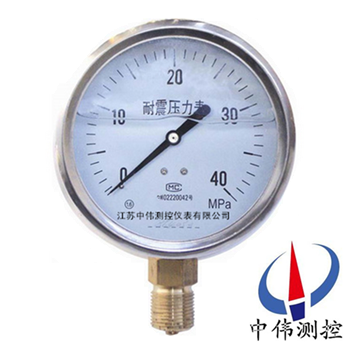 Seismic pressure gauge